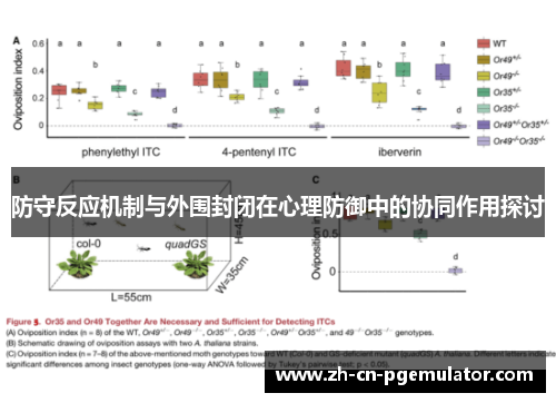 防守反应机制与外围封闭在心理防御中的协同作用探讨
