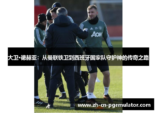 大卫·德赫亚：从曼联铁卫到西班牙国家队守护神的传奇之路