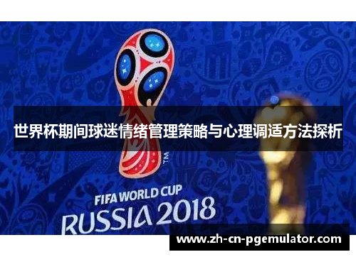 世界杯期间球迷情绪管理策略与心理调适方法探析