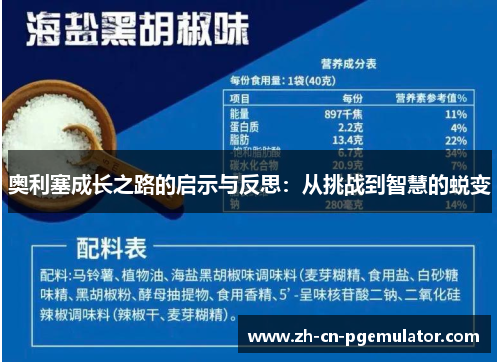 奥利塞成长之路的启示与反思：从挑战到智慧的蜕变