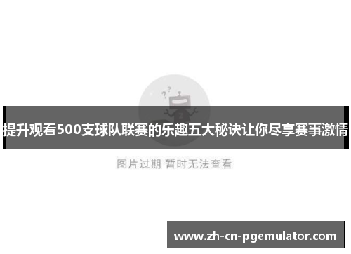提升观看500支球队联赛的乐趣五大秘诀让你尽享赛事激情
