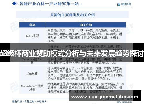 超级杯商业赞助模式分析与未来发展趋势探讨