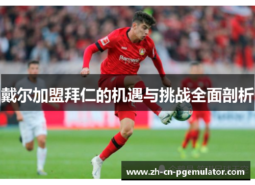 戴尔加盟拜仁的机遇与挑战全面剖析