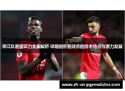 浙江队新援实力全面解析 详细剖析新球员的技术特点与潜力发展