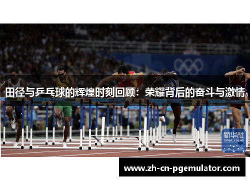 田径与乒乓球的辉煌时刻回顾：荣耀背后的奋斗与激情