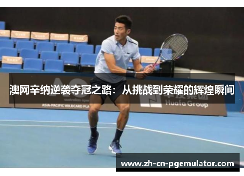 澳网辛纳逆袭夺冠之路：从挑战到荣耀的辉煌瞬间