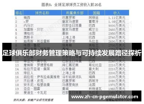 足球俱乐部财务管理策略与可持续发展路径探析
