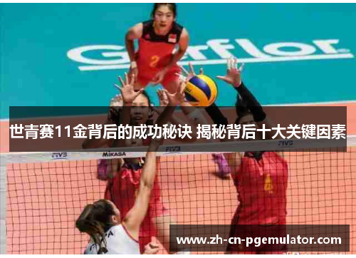 世青赛11金背后的成功秘诀 揭秘背后十大关键因素