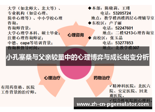 小孔塞桑与父亲较量中的心理博弈与成长蜕变分析