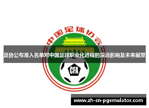 足协公布准入名单对中国足球职业化进程的深远影响及未来展望