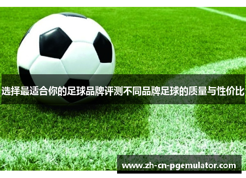 选择最适合你的足球品牌评测不同品牌足球的质量与性价比