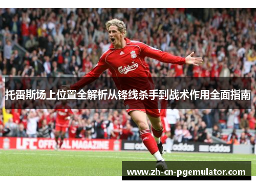 托雷斯场上位置全解析从锋线杀手到战术作用全面指南