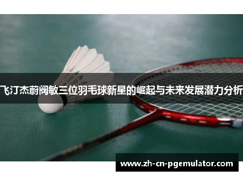 飞汀杰蔚阀敏三位羽毛球新星的崛起与未来发展潜力分析