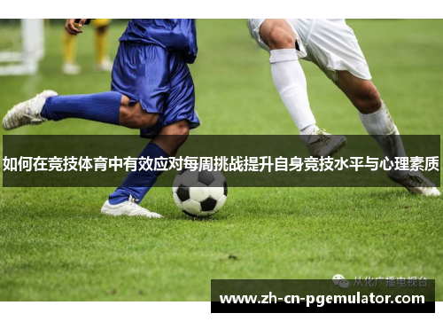 如何在竞技体育中有效应对每周挑战提升自身竞技水平与心理素质