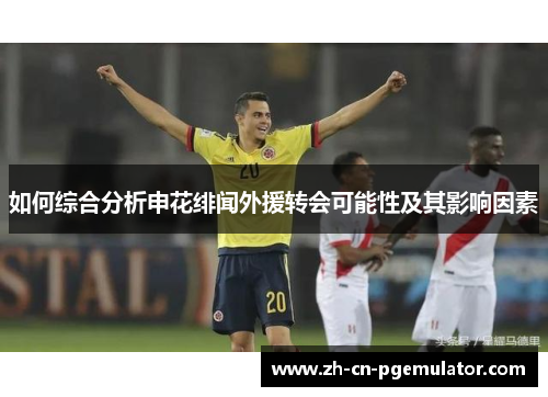 如何综合分析申花绯闻外援转会可能性及其影响因素