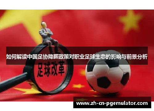 如何解读中国足协降薪政策对职业足球生态的影响与前景分析