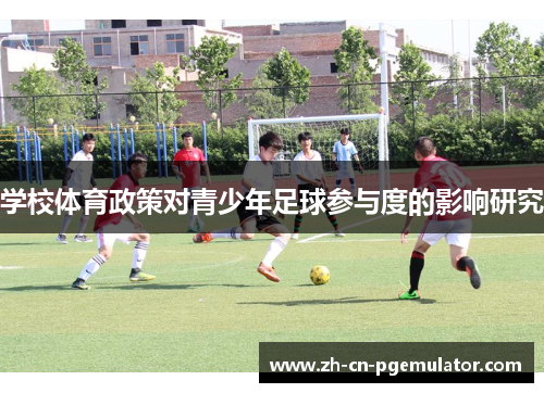 学校体育政策对青少年足球参与度的影响研究