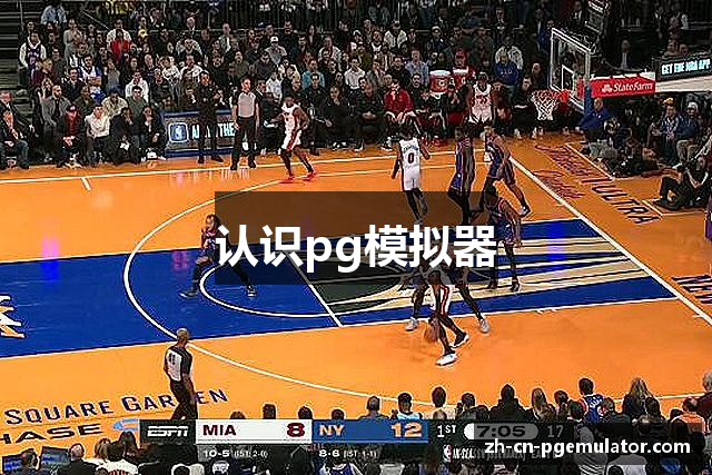 认识pg模拟器