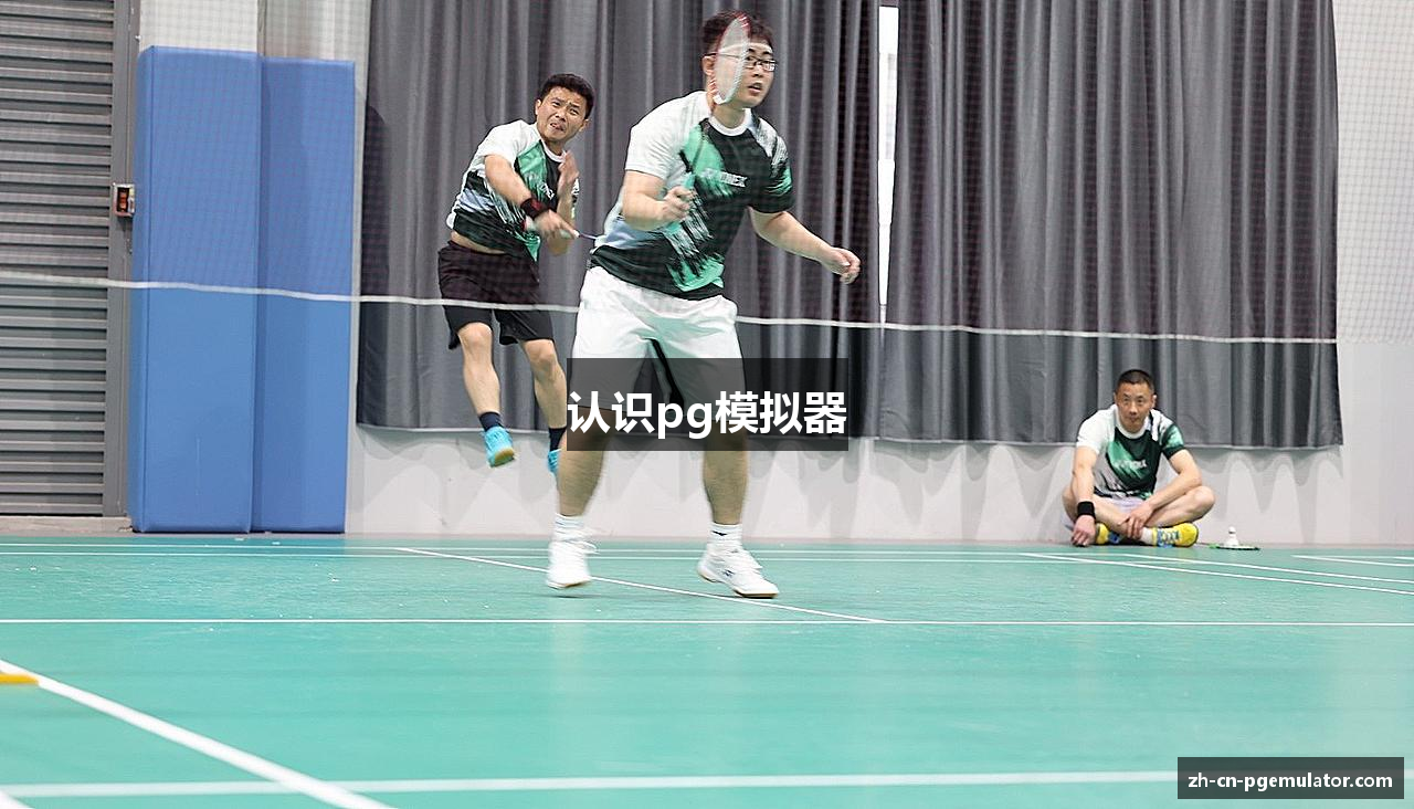 认识pg模拟器